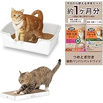 Amazon | ニャンとも清潔トイレ 猫壱 猫 トイレ 本体 つめとぎ セット
